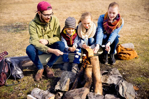 La familia está de picnic. — Foto de Stock