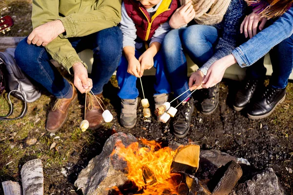 La familia está de picnic. — Foto de Stock