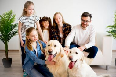 Bir köpekle oynamayı aile