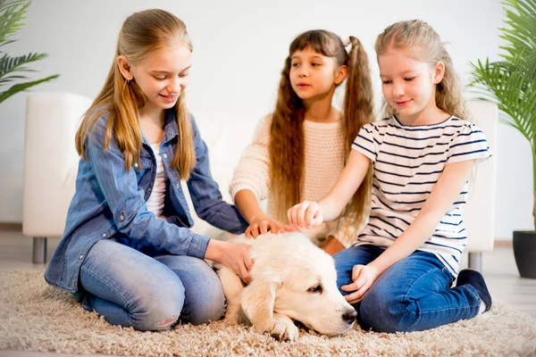 Niños jugando con un perro — Foto de Stock