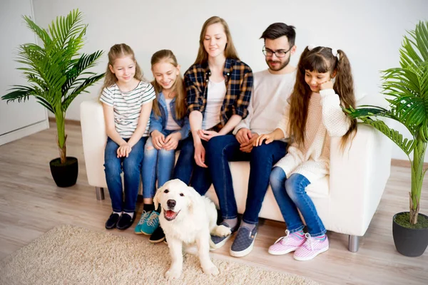 Сім'я грає з собакою — стокове фото