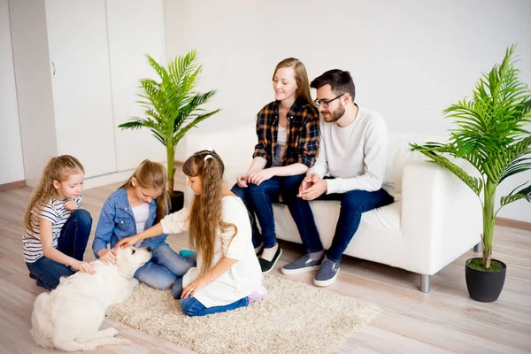 Family playing with a dog — Stock Photo, Image