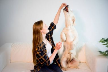 Köpeği olan bir kadın.