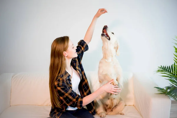 Žena se svým psem — Stock fotografie
