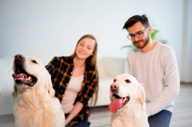 Bir köpekle oynamayı aile