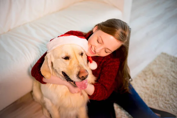 Girl with her dog Stock Picture