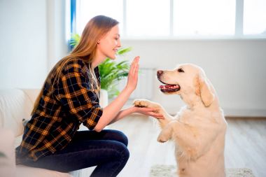 Köpeği olan bir kadın.
