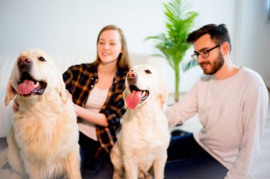 Bir köpekle oynamayı aile