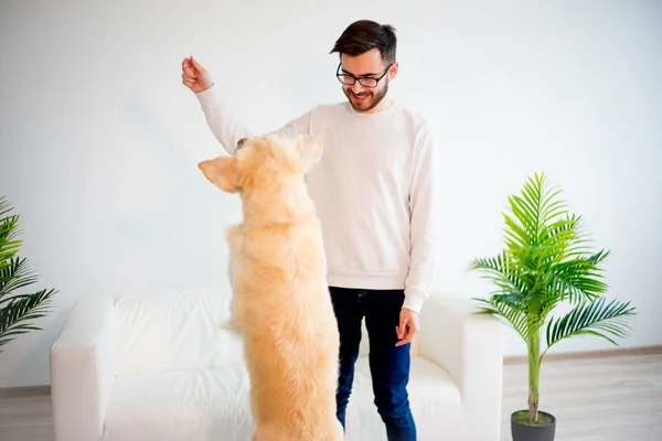 Man playing with his dog