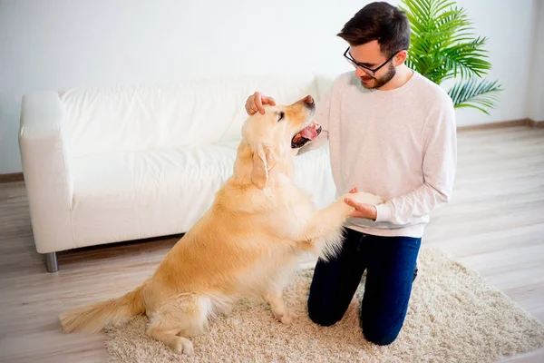 Adam köpeğiyle oynuyor. — Stok fotoğraf