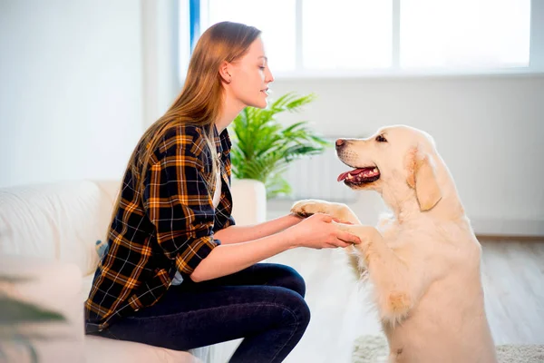 Köpeği olan bir kadın. — Stok fotoğraf