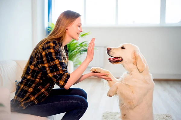 Köpeği olan bir kadın. — Stok fotoğraf