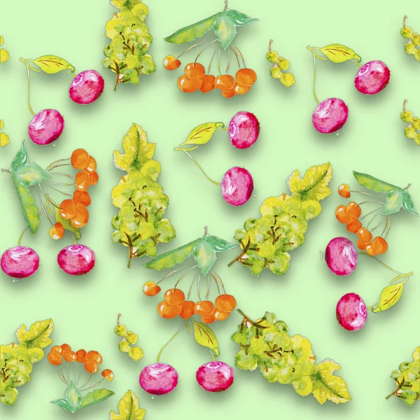 Kirazın suluboya çizimi