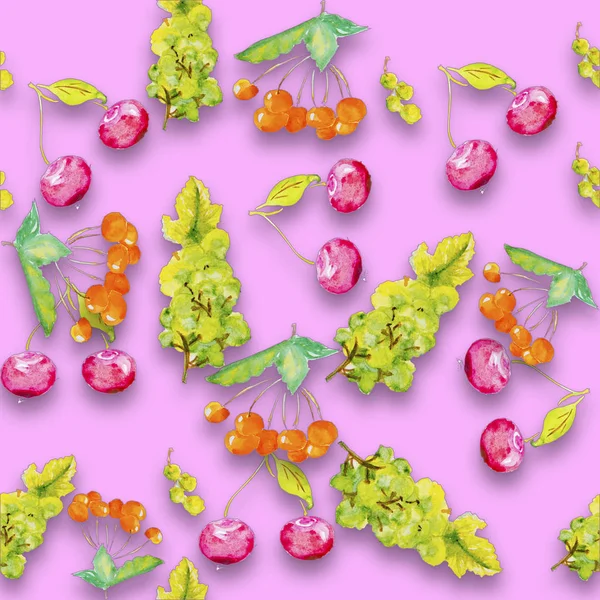 Cseresznye akvarell illusztrációja — Stock Fotó
