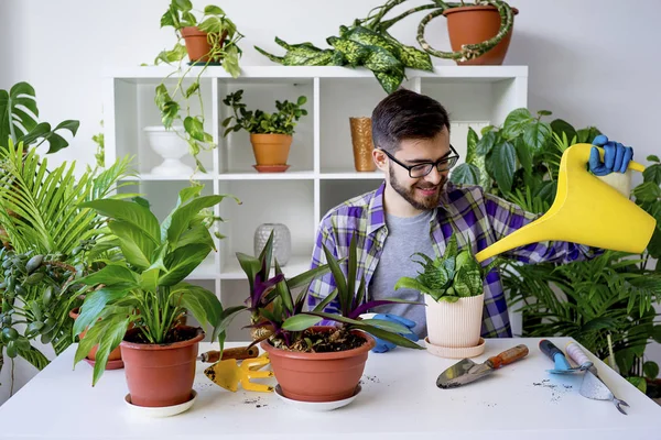 Erkek çiçekçi çalışma