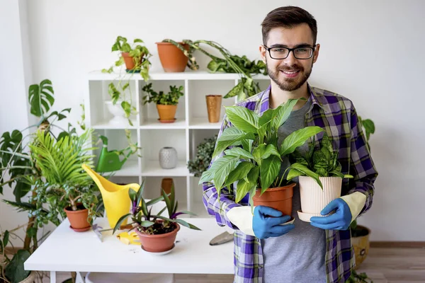 Erkek çiçekçi çalışma