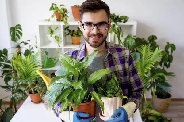 Erkek çiçekçi çalışma