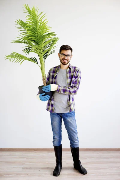 Giardiniere maschio con piante — Foto Stock