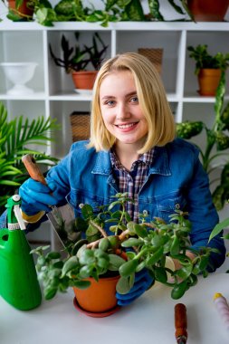 Sera içinde işte çiçekçi