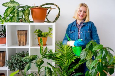 Sera içinde işte çiçekçi