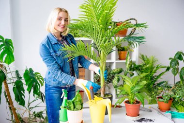 Sera içinde işte çiçekçi