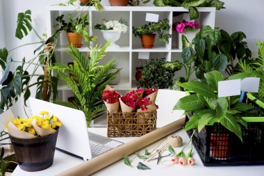 İçinde bir çiçekçi dükkanı