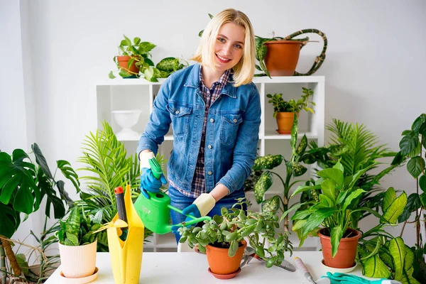 Sera içinde işte çiçekçi