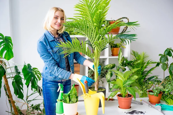 Sera içinde işte çiçekçi