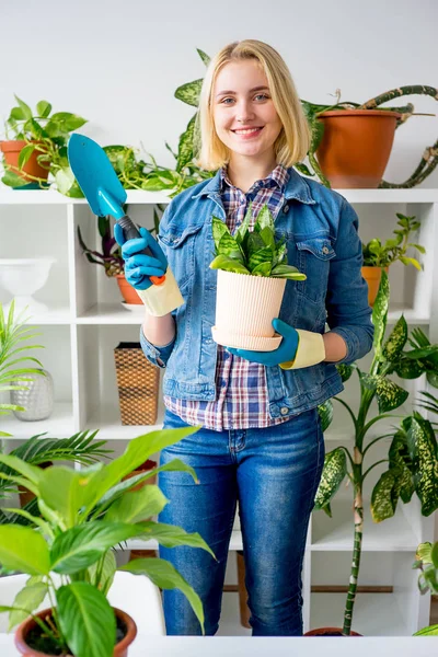 Sera içinde işte çiçekçi