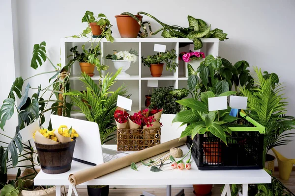 İçinde bir çiçekçi dükkanı