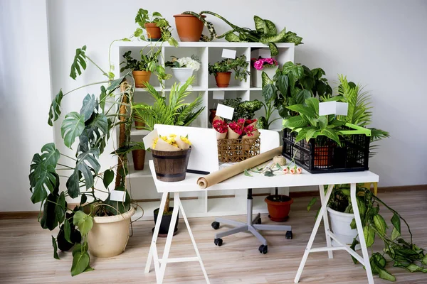 İçinde bir çiçekçi dükkanı