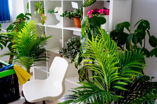 İçinde bir çiçekçi dükkanı