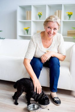 Büyükanne ile bir köpek