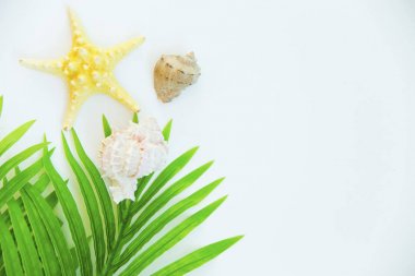 Yaz tatil şeyler düzgün organize etti. Seyahat kavramı. Düz yatıyordu.