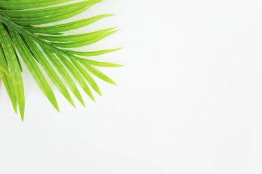 Yaz tatil şeyler düzgün organize etti. Seyahat kavramı. Düz yatıyordu.