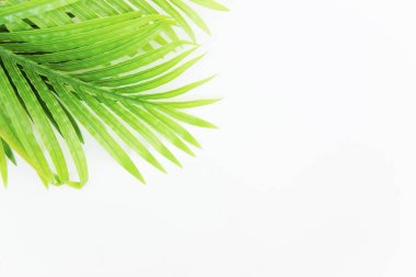 Yaz tatil şeyler düzgün organize etti. Seyahat kavramı. Düz yatıyordu.