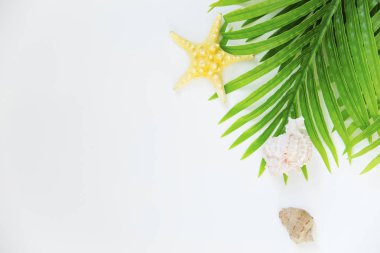 Yaz tatil şeyler düzgün organize etti. Seyahat kavramı. Düz yatıyordu.