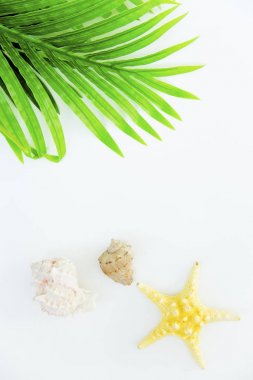 Yaz tatil şeyler düzgün organize etti. Seyahat kavramı. Düz yatıyordu.