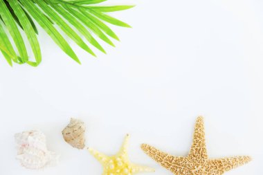 Yaz tatil şeyler düzgün organize etti. Seyahat kavramı. Düz yatıyordu.