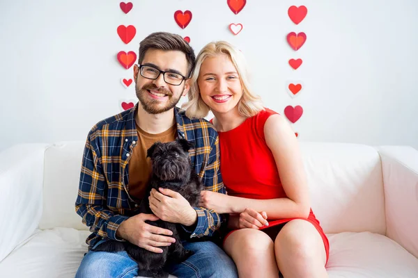 Sevgililer günü ile bir köpek