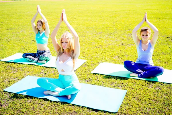 Bir parkta yoga yaparken kızlar