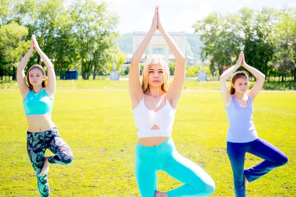 Ragazze che fanno yoga in un parco — Foto Stock