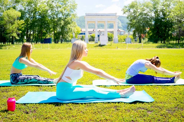 Bir parkta yoga yaparken kızlar