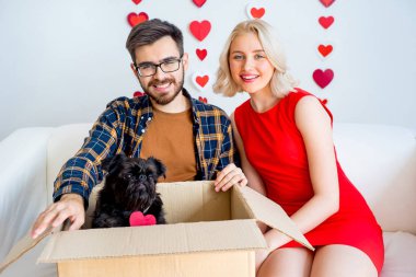 Sevgililer günü ile bir köpek