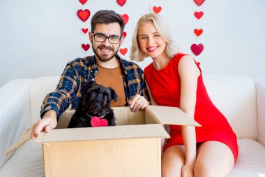 Sevgililer günü ile bir köpek