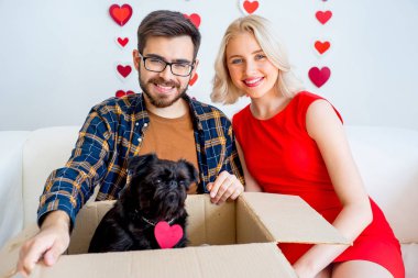 Sevgililer günü ile bir köpek