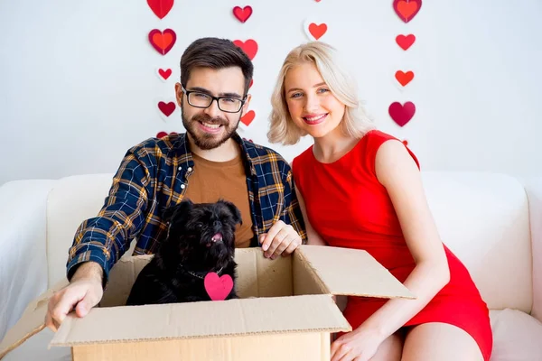 Sevgililer günü ile bir köpek