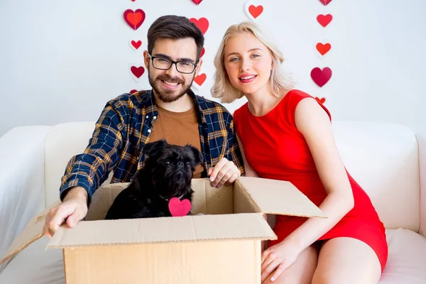 Sevgililer günü ile bir köpek