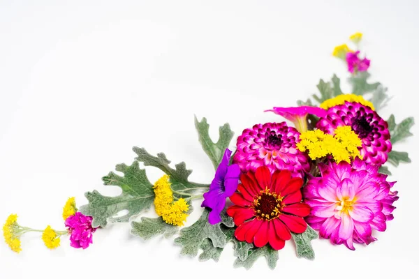 Blumen Zusammensetzung Bild — Stockfoto