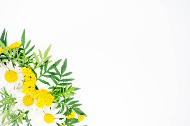 Çiçek kompozisyon görüntü